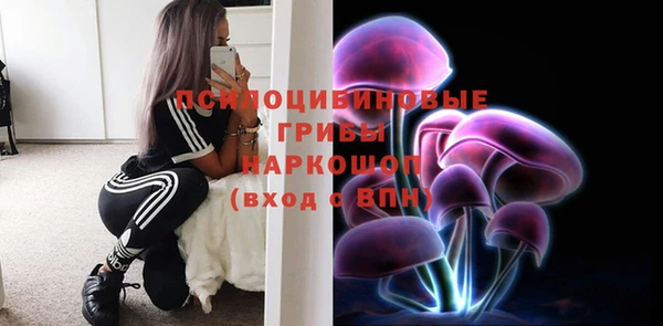 МДПВ Каменск-Шахтинский