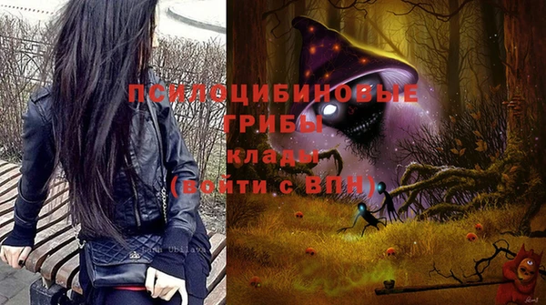 МДПВ Каменск-Шахтинский