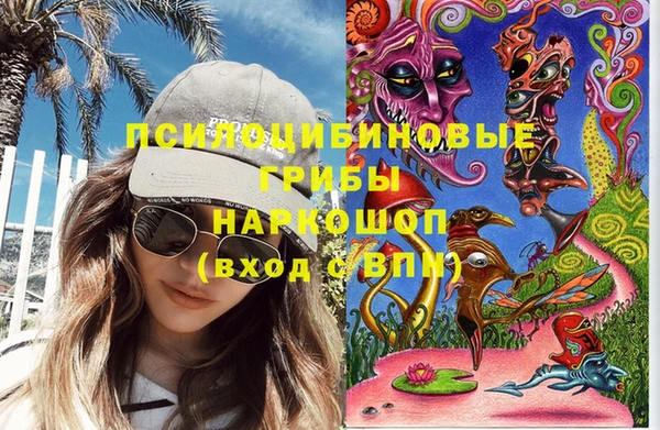 марки nbome Каменногорск
