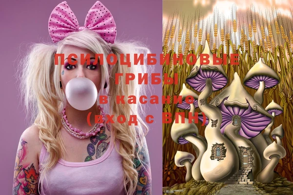 марки nbome Каменногорск