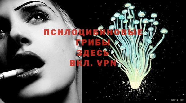 МДПВ Каменск-Шахтинский