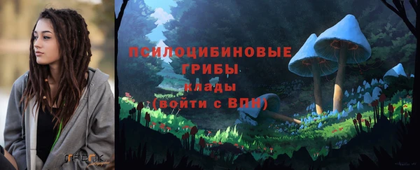 МДПВ Каменск-Шахтинский