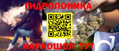 шишки Заводоуковск