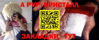 шишки Заводоуковск