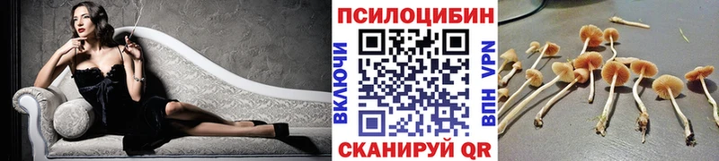 Галлюциногенные грибы Psilocybine cubensis  Первоуральск 