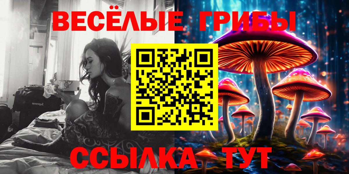Первоуральск  Галлюциногенные грибы Magic Shrooms  Псилоцибиновые грибы Cubensis  Вход с VPN 